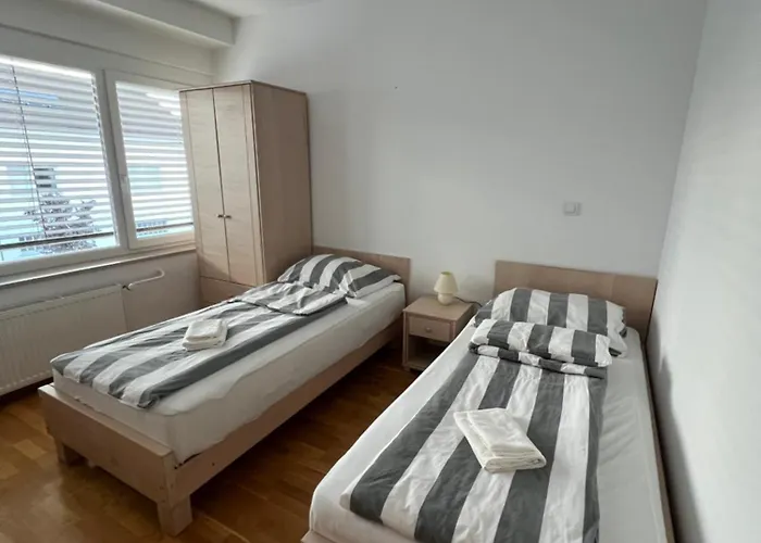 Guest house Kolarjeva International House