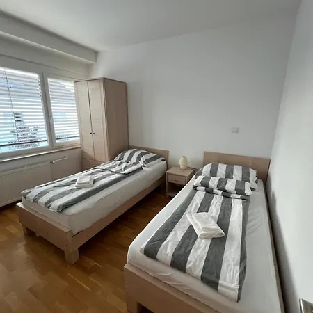 Hiša za goste Kolarjeva International House