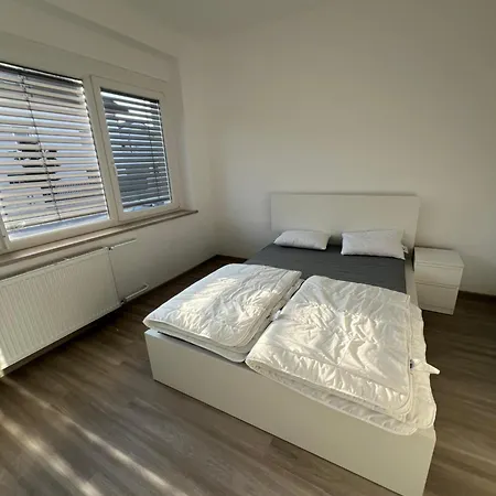 بيت ضيافة Kolarjeva International House 3*