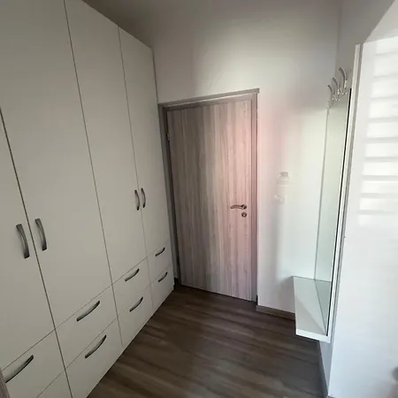 بيت ضيافة Kolarjeva International House