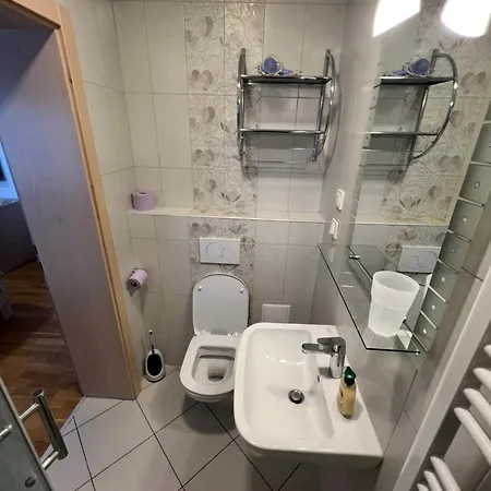 Kolarjeva International House